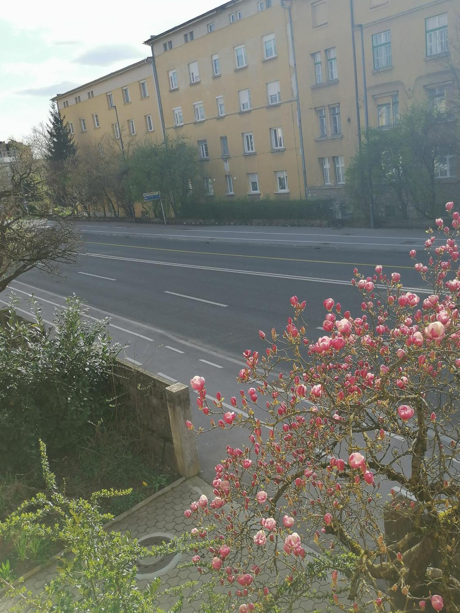 Apartment Pirc On Dunajska Street